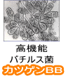 油脂分解菌