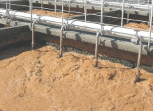 もっと水処理もっとピュア_活性汚泥の維持管理_カツゲンＢＢ油脂分解菌